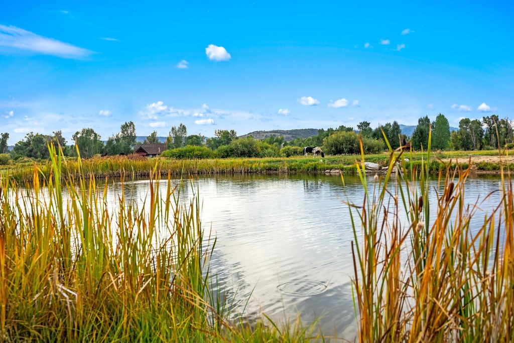 41700 Marabou Loop Steamboat Springs CO 80487