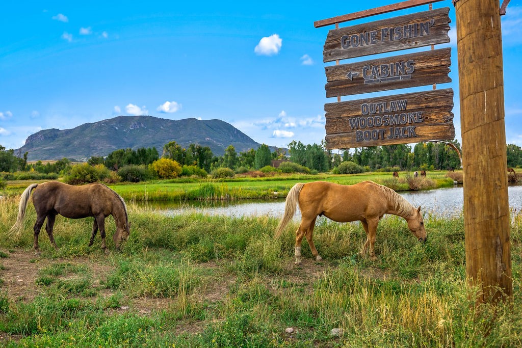 41700 Marabou Loop Steamboat Springs CO 80487