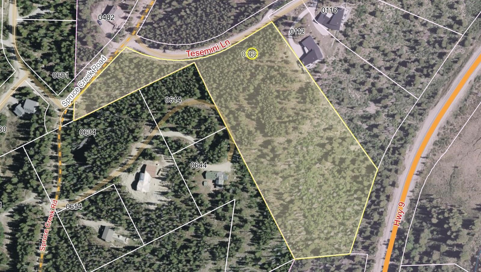 62 Tesemini Lane Blue River CO 80424