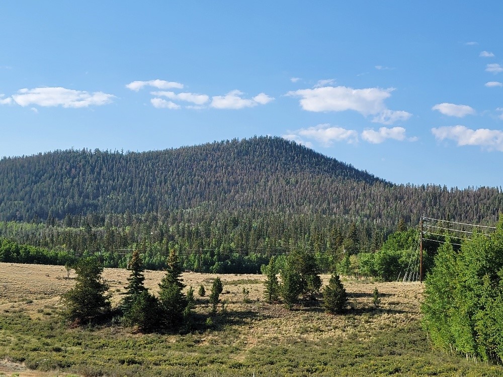 1630 Wampum Lane Como CO 80432