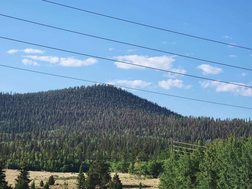 1630 Wampum Lane Como CO 80432
