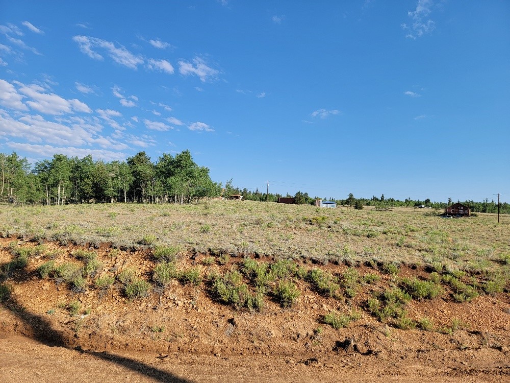1630 Wampum Lane Como CO 80432