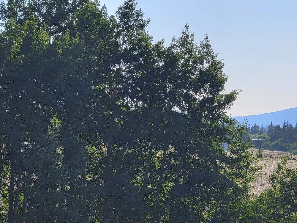 1630 Wampum Lane Como CO 80432