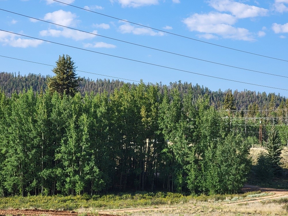 1630 Wampum Lane Como CO 80432