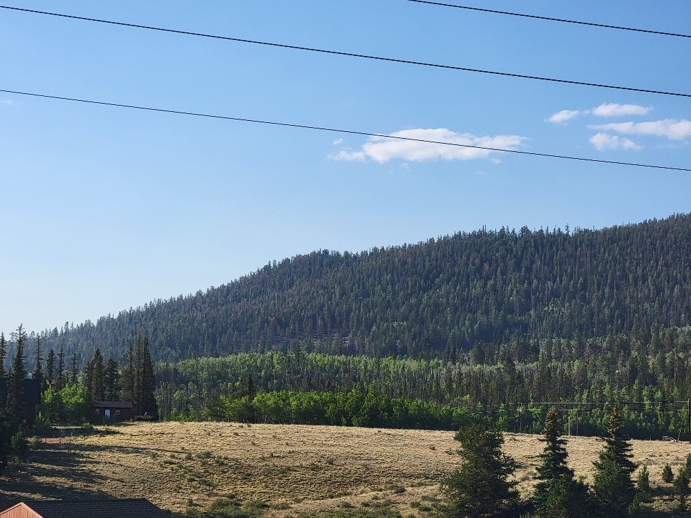 1630 Wampum Lane Como CO 80432
