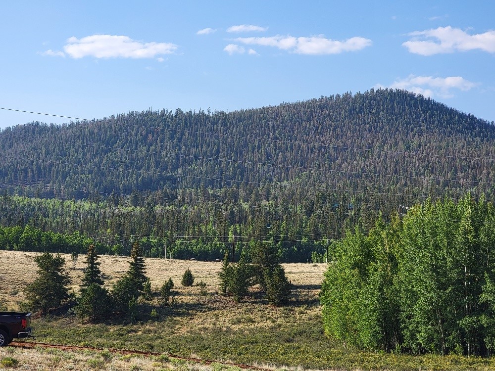 1630 Wampum Lane Como CO 80432