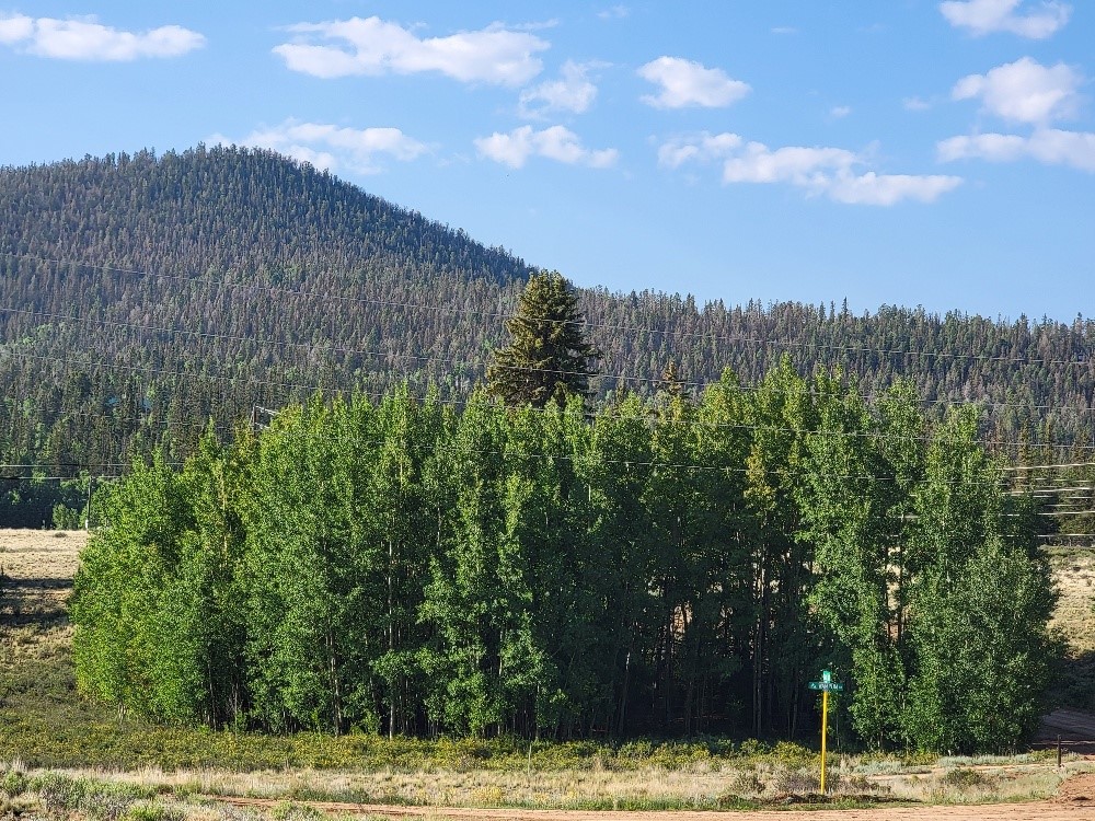1630 Wampum Lane Como CO 80432