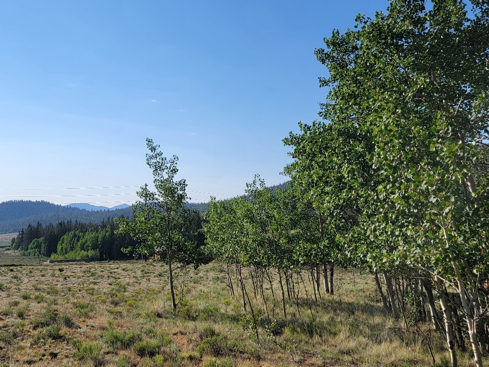 1630 Wampum Lane Como CO 80432