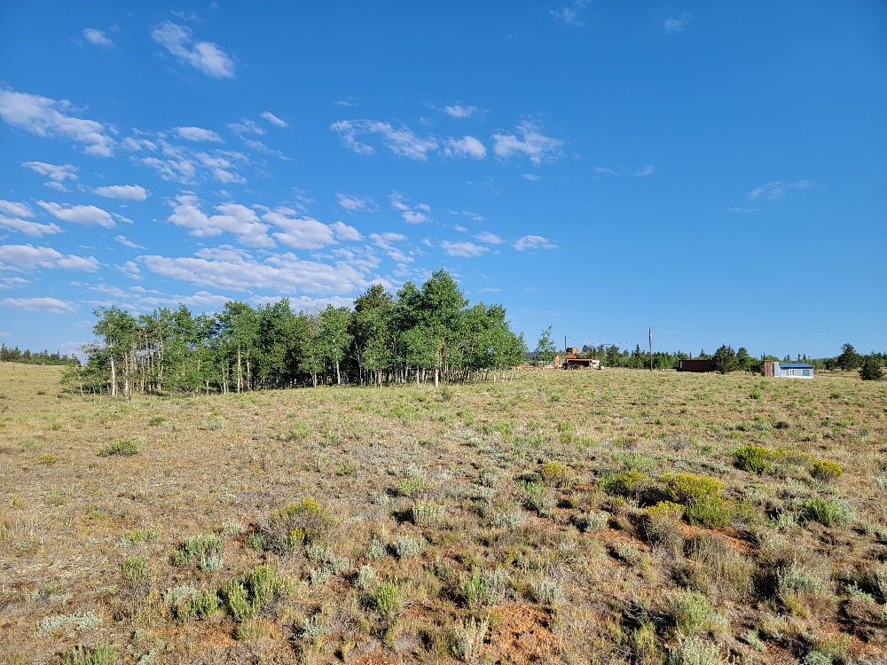 1630 Wampum Lane Como CO 80432
