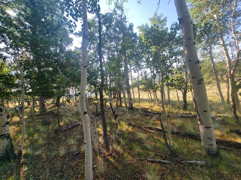 1630 Wampum Lane Como CO 80432