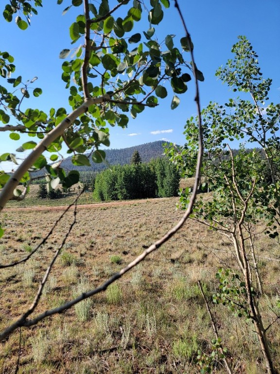 1630 Wampum Lane Como CO 80432