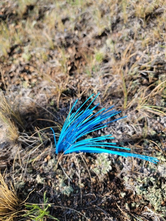 1630 Wampum Lane Como CO 80432