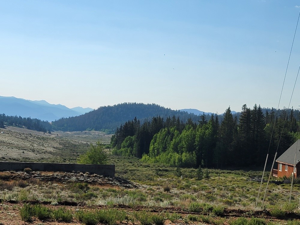 1630 Wampum Lane Como CO 80432