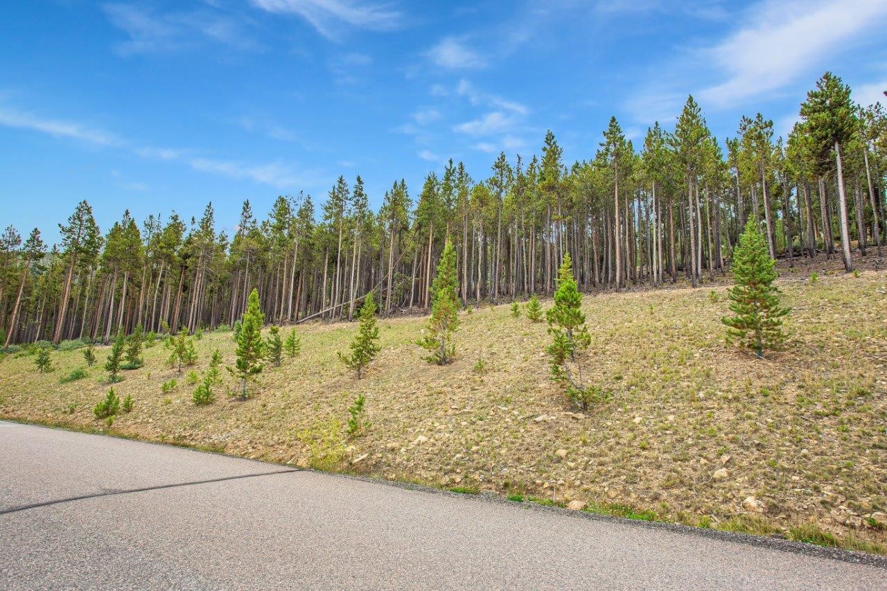 705 Discovery Hill Drive Breckenridge CO 80424