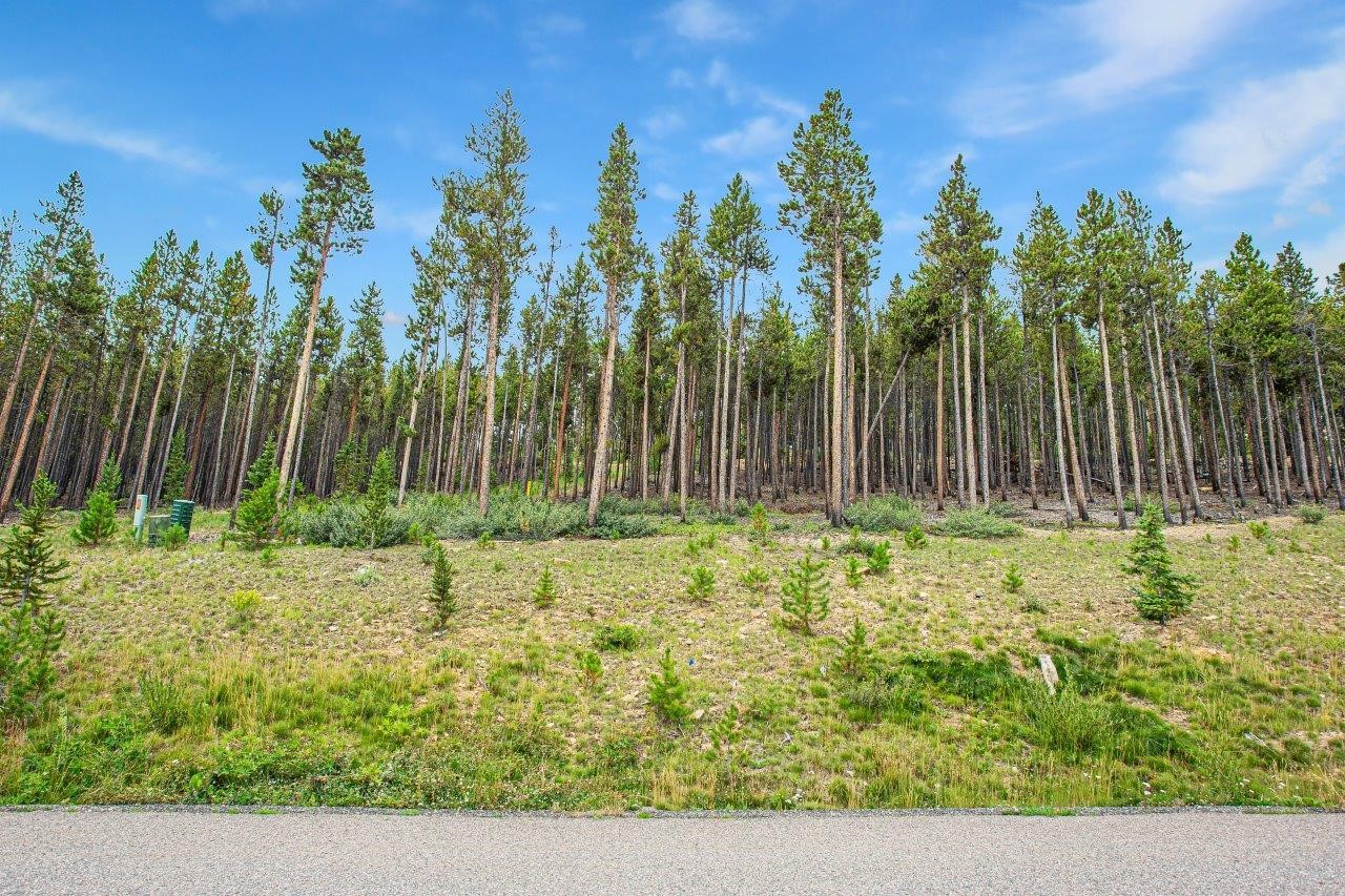 705 Discovery Hill Drive Breckenridge CO 80424