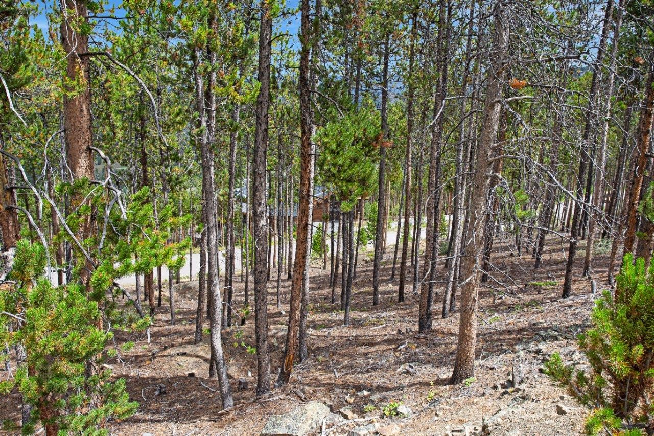 705 Discovery Hill Drive Breckenridge CO 80424