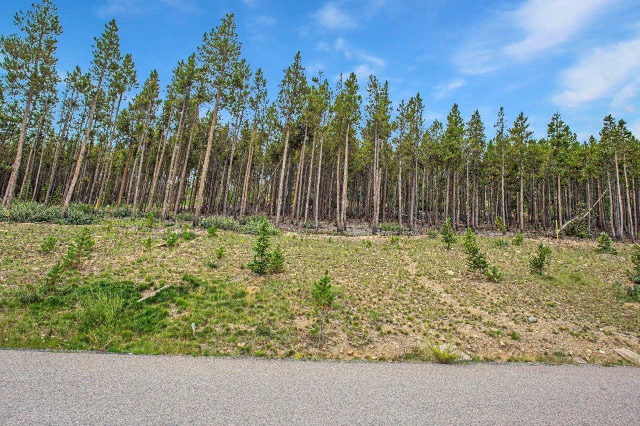 705 Discovery Hill Drive Breckenridge CO 80424