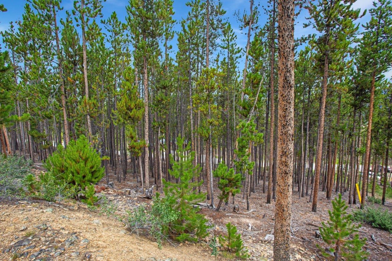 705 Discovery Hill Drive Breckenridge CO 80424