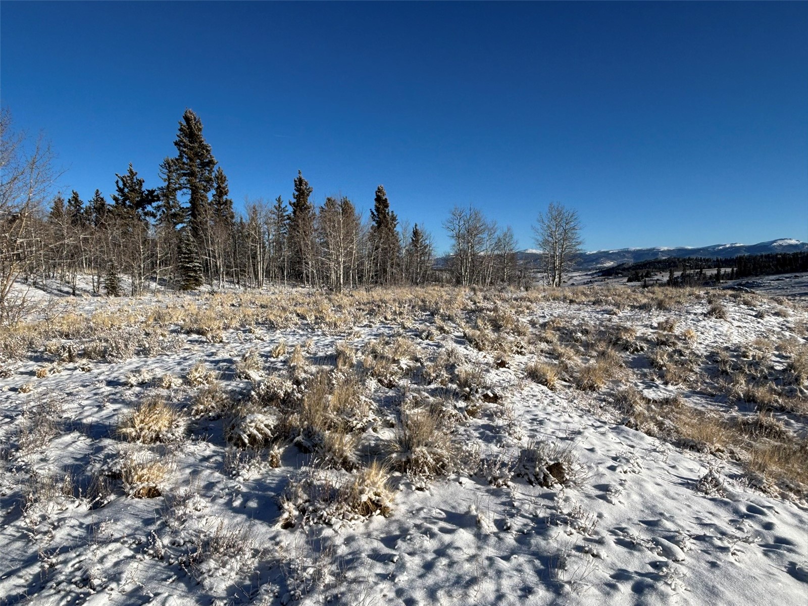 769 Mockingbird Circle Como CO 80432