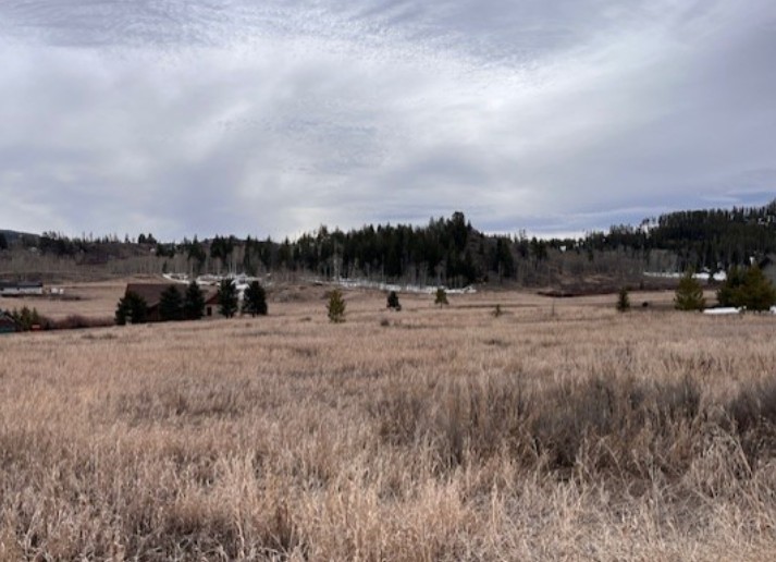 Tbd Ute Trail Oak Creek CO 80467