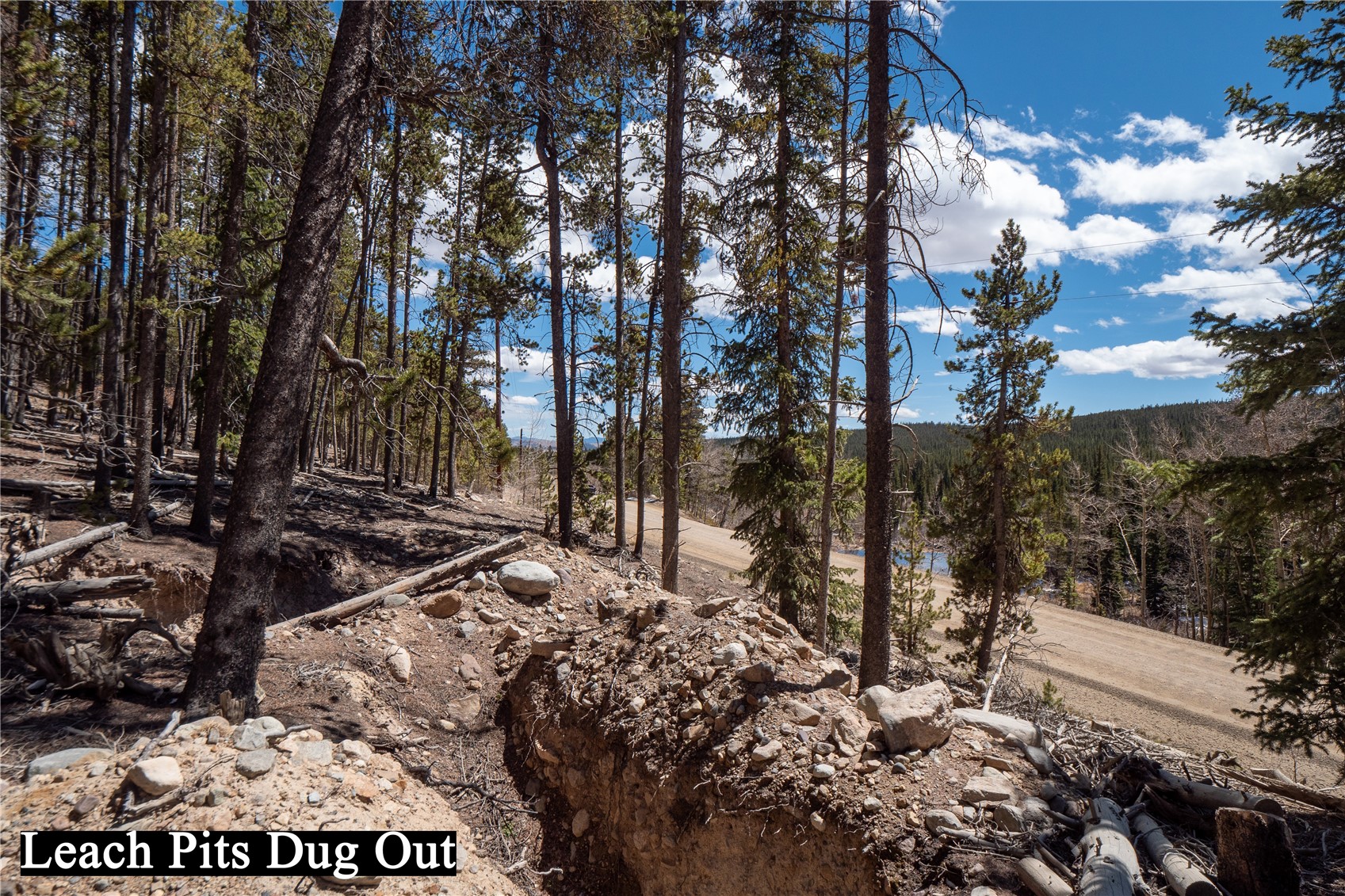 3149 Nugget Road Fairplay CO 80440