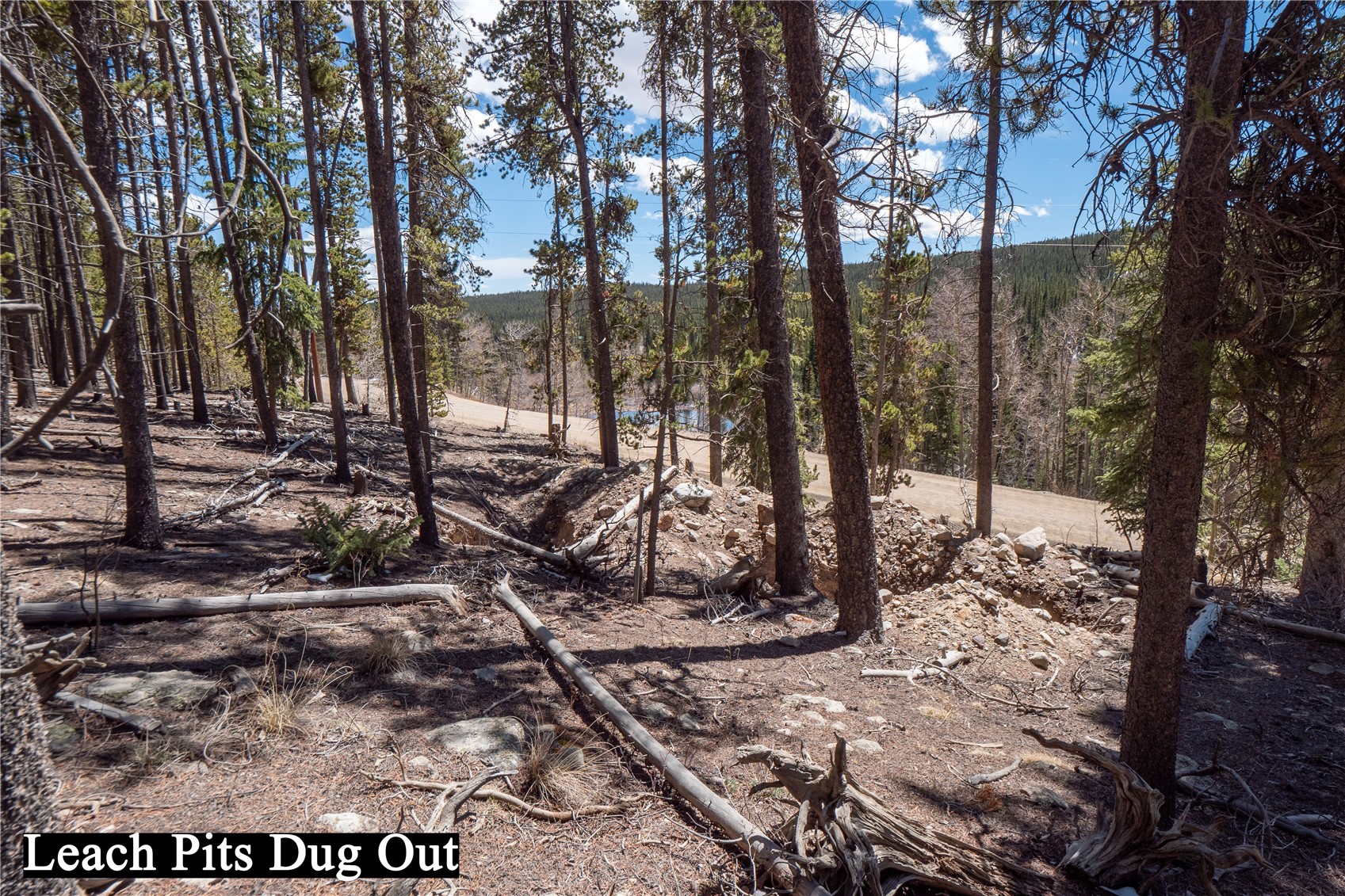 3149 Nugget Road Fairplay CO 80440