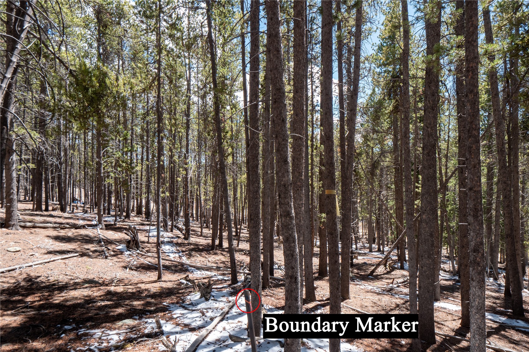 3149 Nugget Road Fairplay CO 80440
