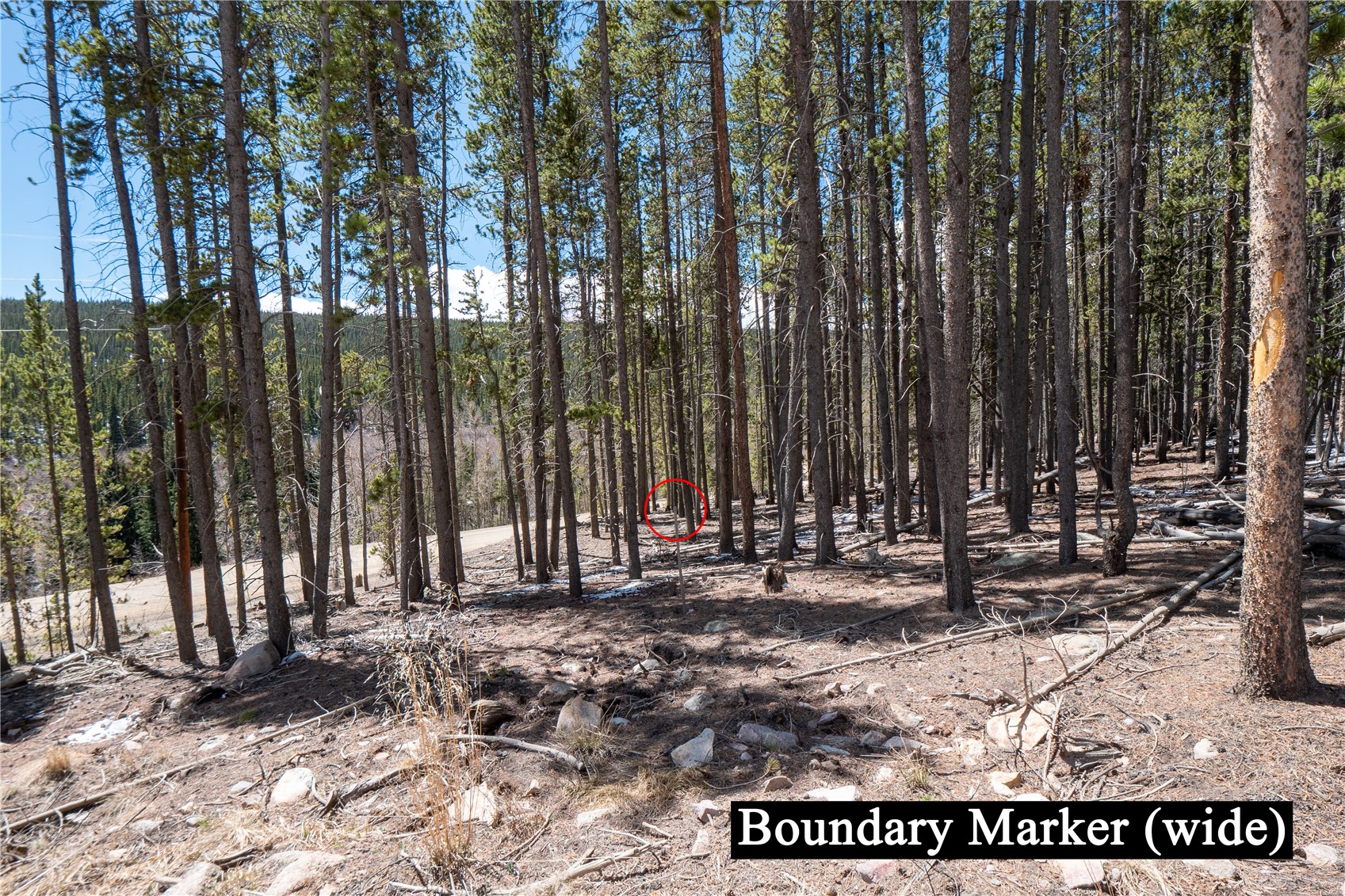3149 Nugget Road Fairplay CO 80440