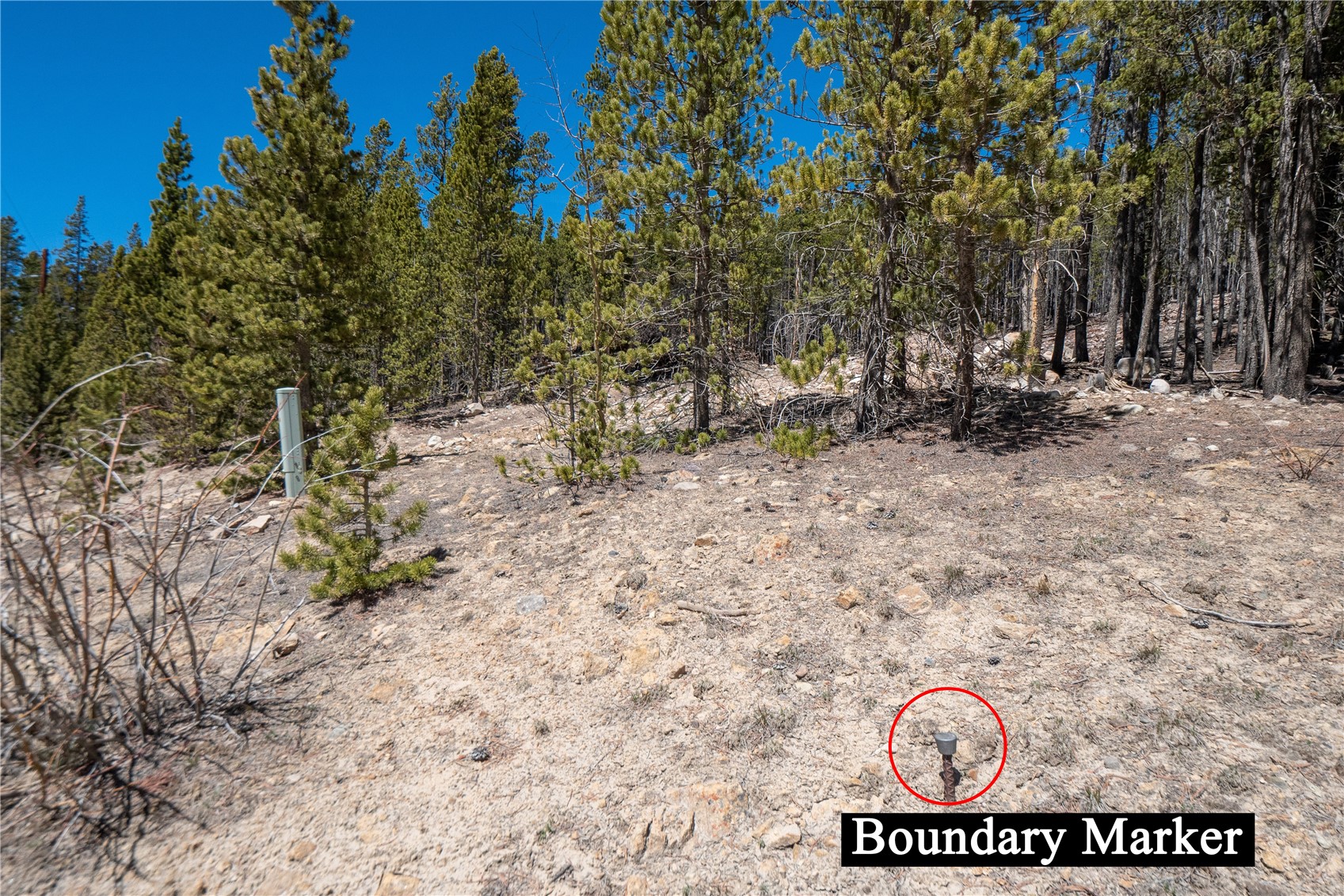 3149 Nugget Road Fairplay CO 80440