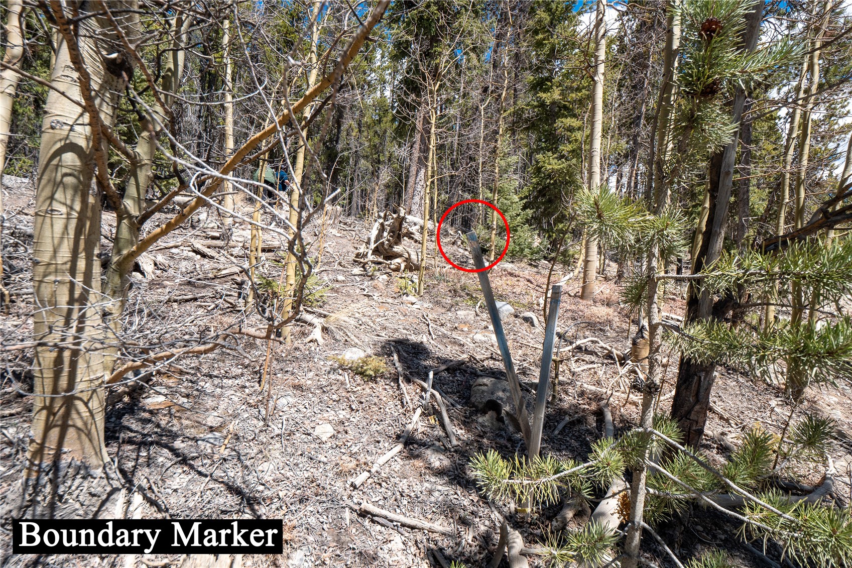 3149 Nugget Road Fairplay CO 80440