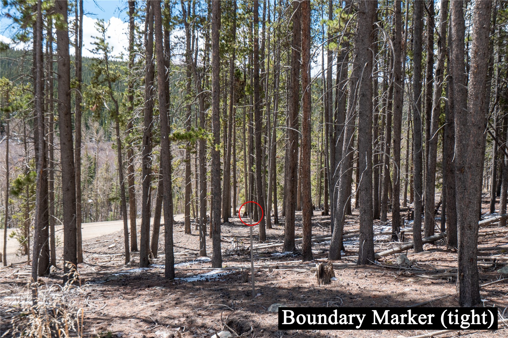 3149 Nugget Road Fairplay CO 80440