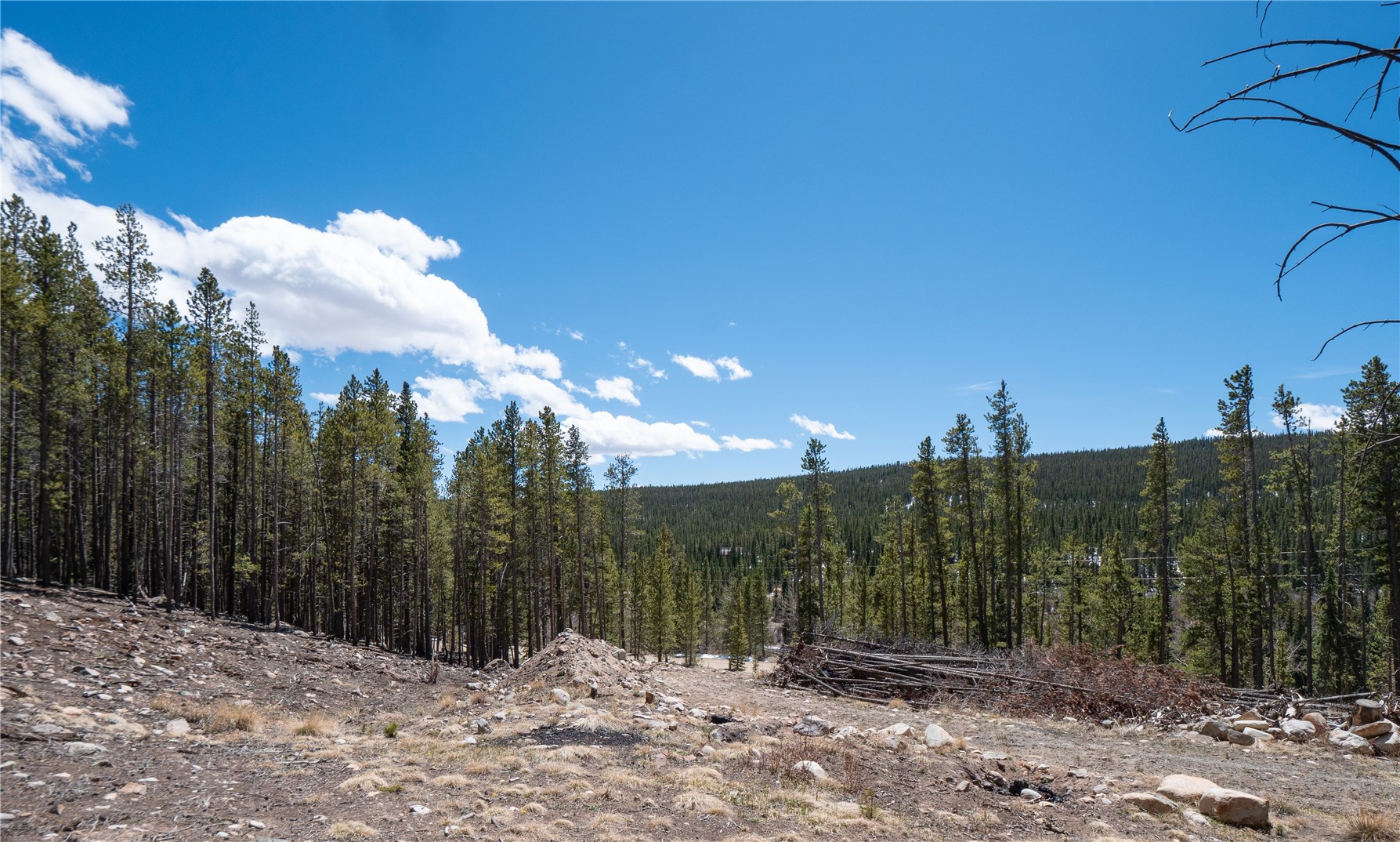 3149 Nugget Road Fairplay CO 80440
