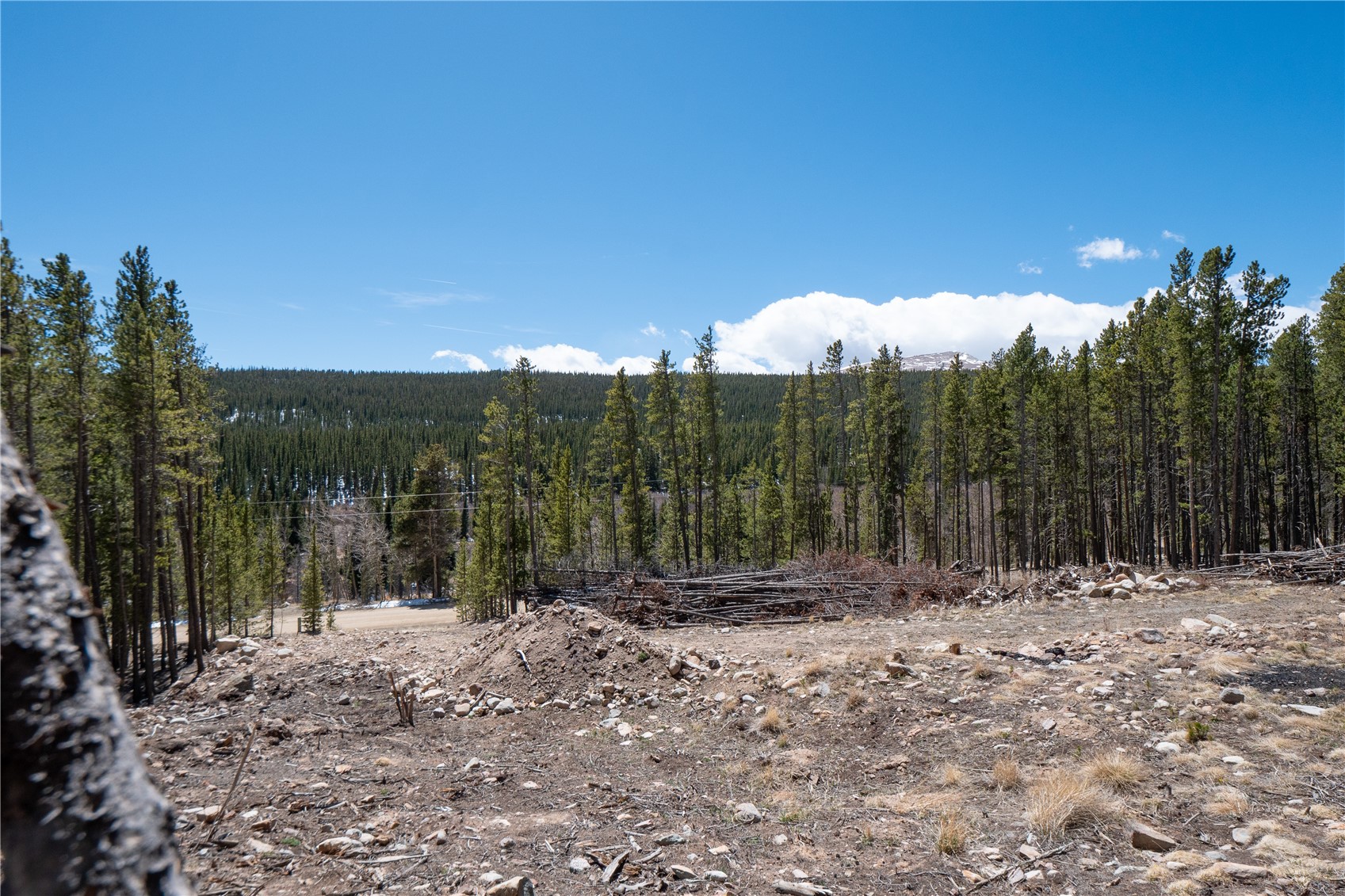 3149 Nugget Road Fairplay CO 80440