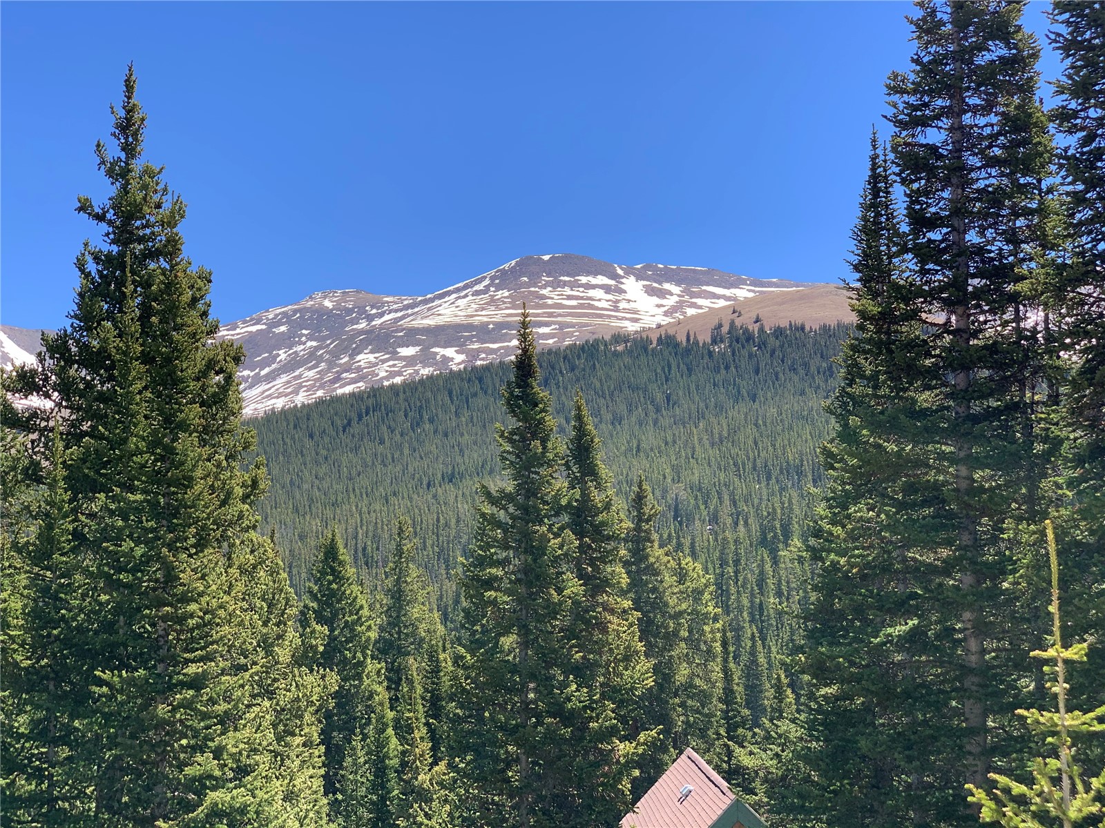0089 Cr 670 Breckenridge CO 80424