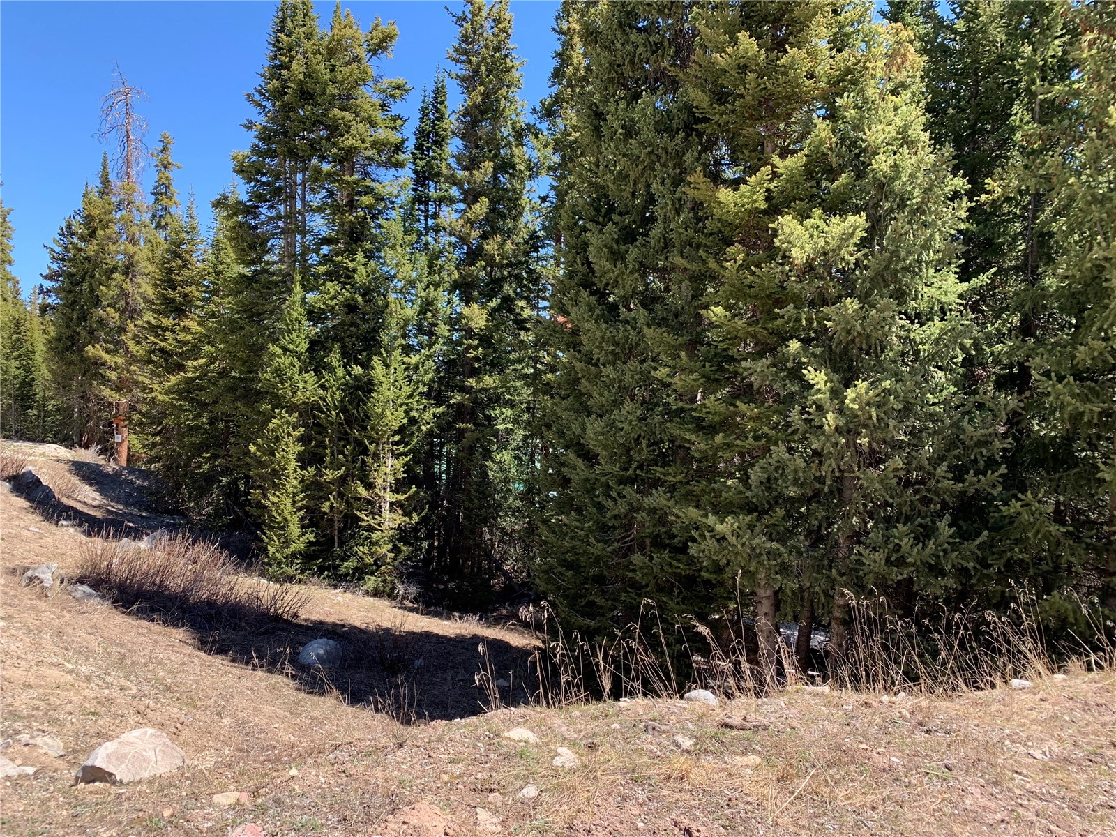 0089 Cr 670 Breckenridge CO 80424