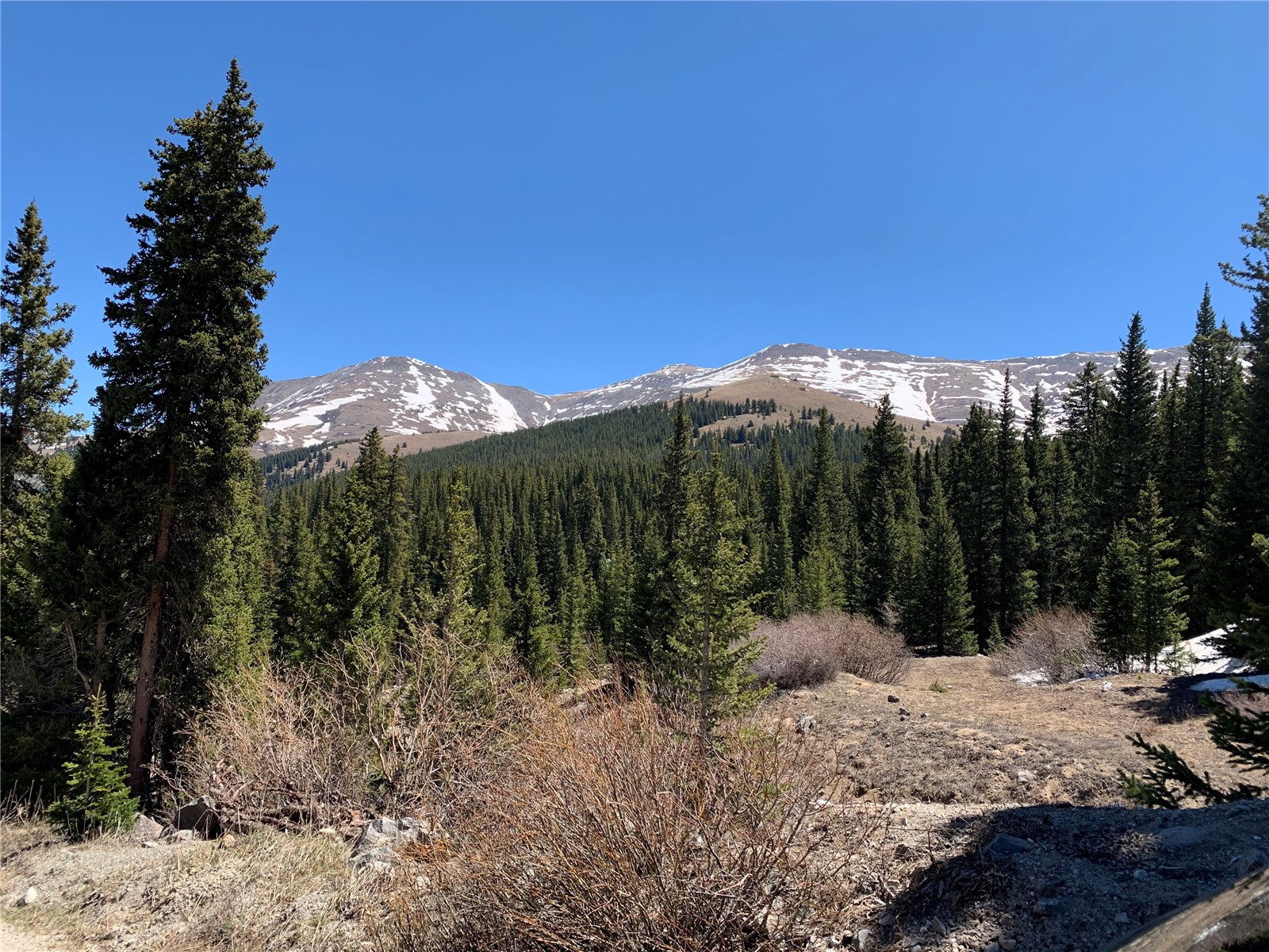 0089 Cr 670 Breckenridge CO 80424