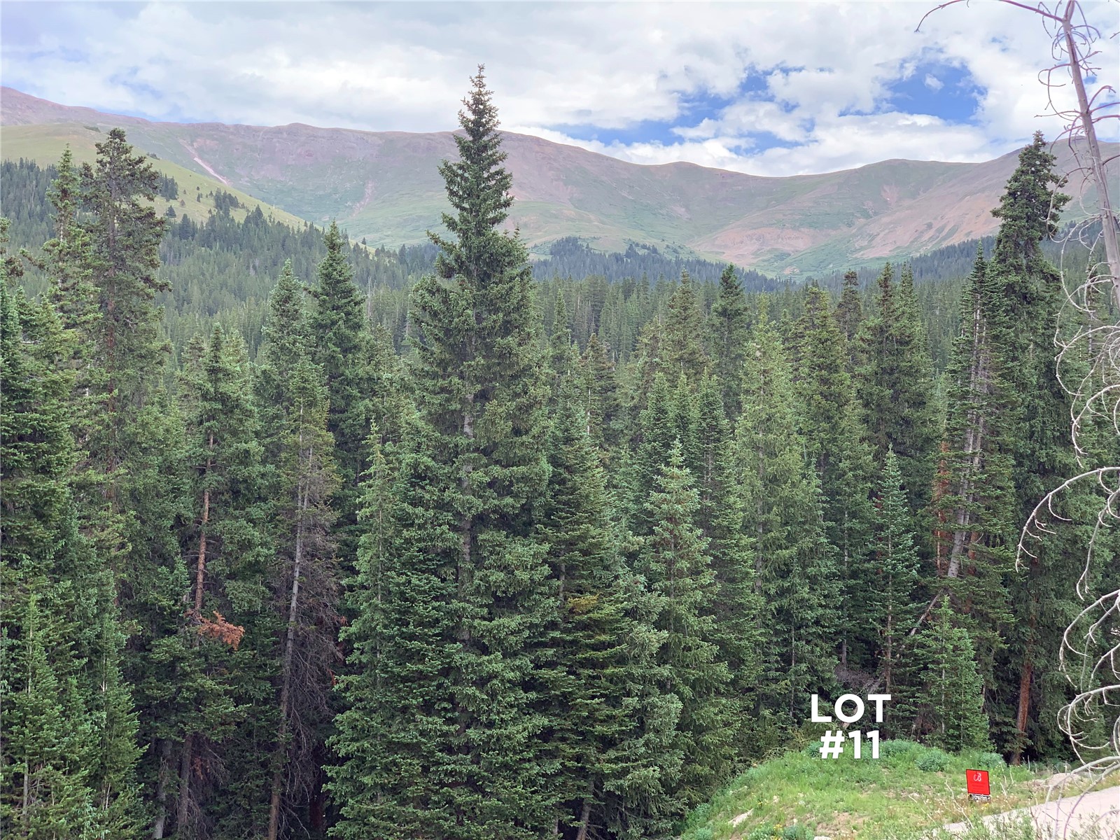 0089 Cr 670 Breckenridge CO 80424