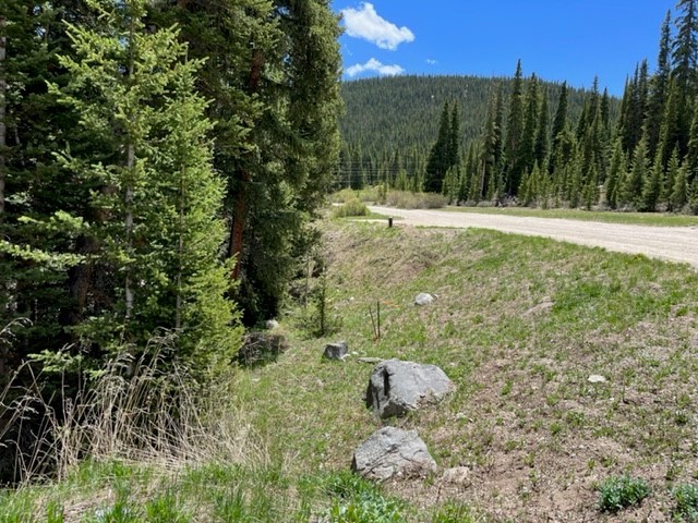 0089 Cr 670 Breckenridge CO 80424