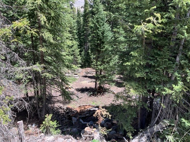 0089 Cr 670 Breckenridge CO 80424