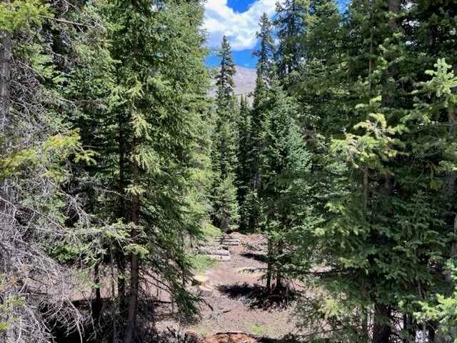 0089 Cr 670 Breckenridge CO 80424