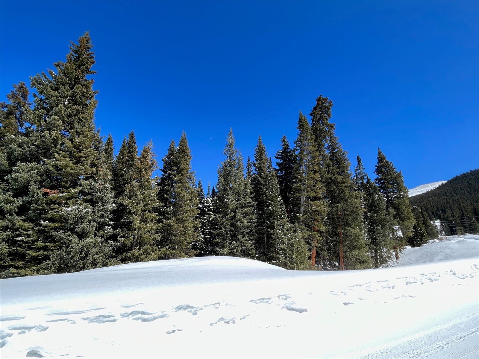 0089 Cr 670 Breckenridge CO 80424