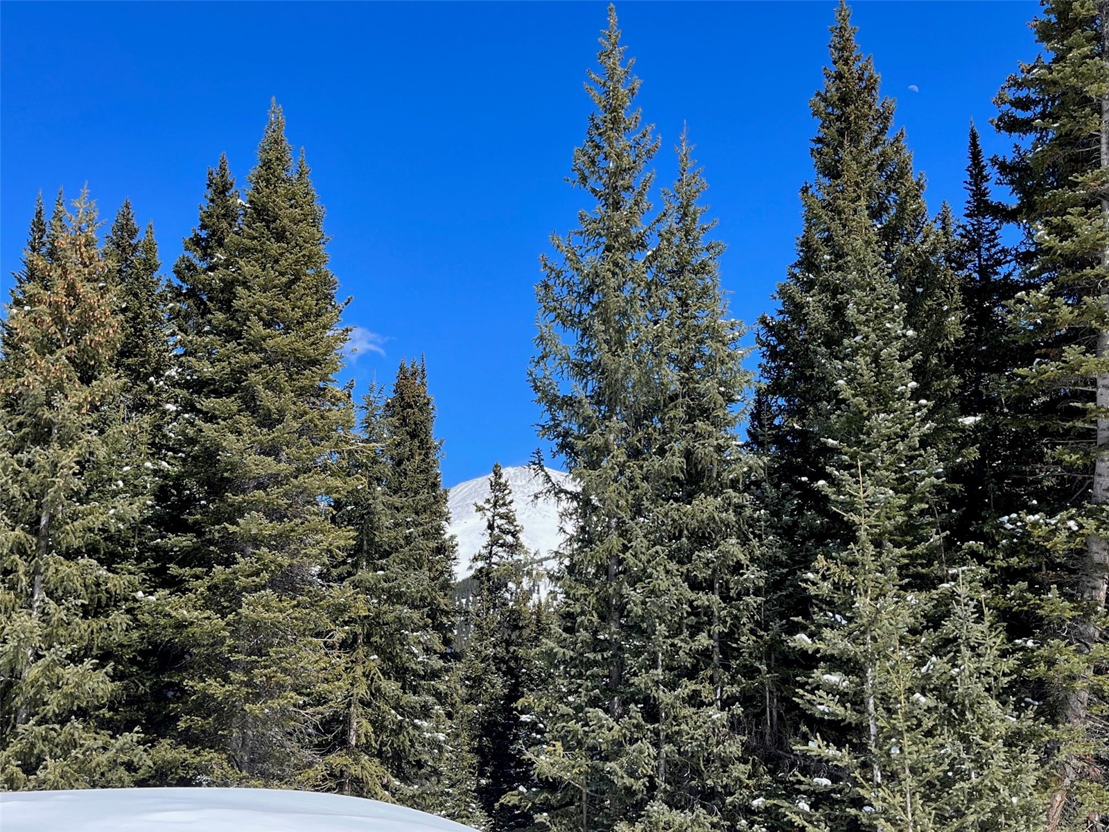 0089 Cr 670 Breckenridge CO 80424