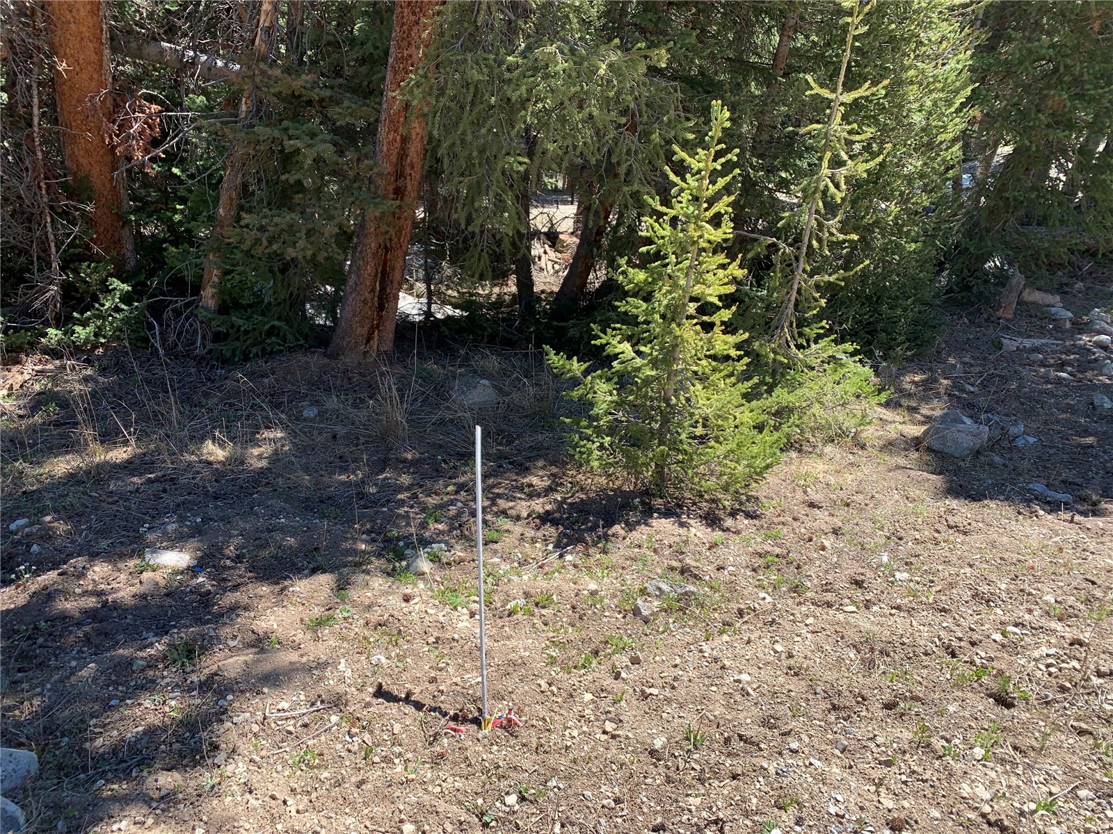 0089 Cr 670 Breckenridge CO 80424