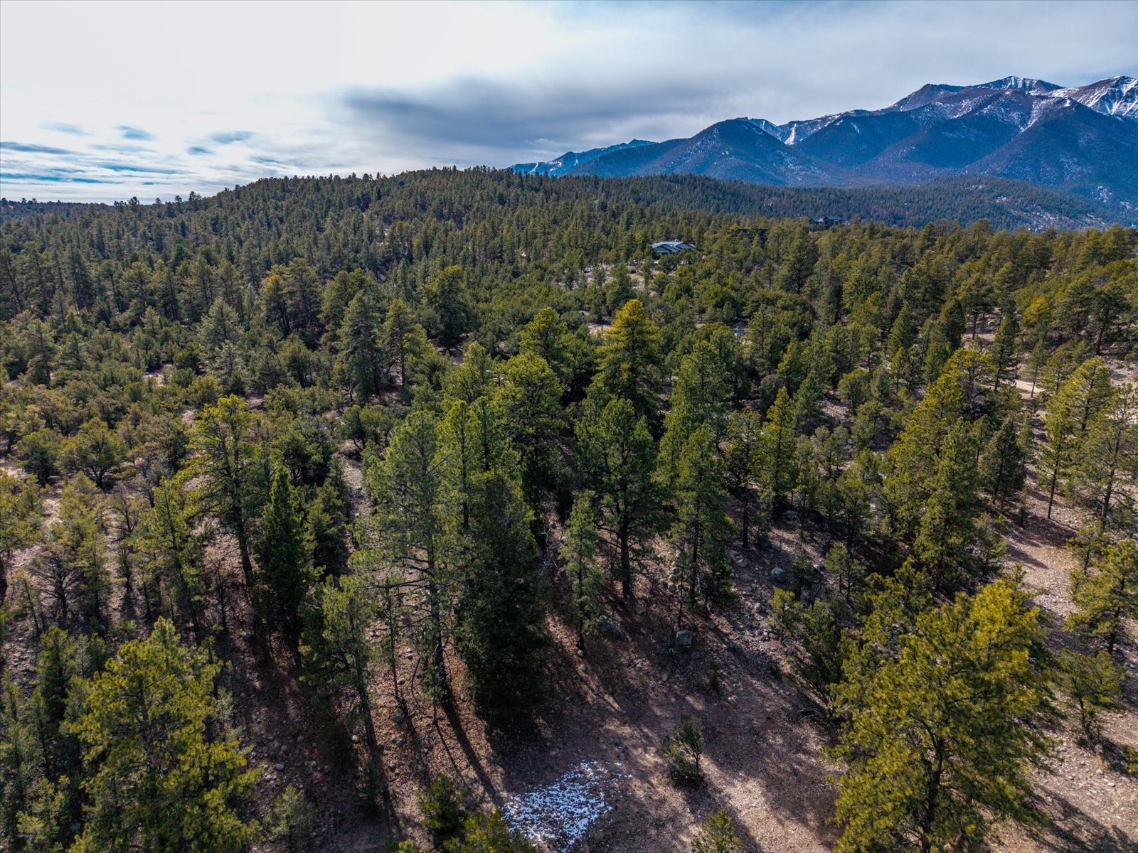 21160 Skyline Drive Nathrop CO 81236