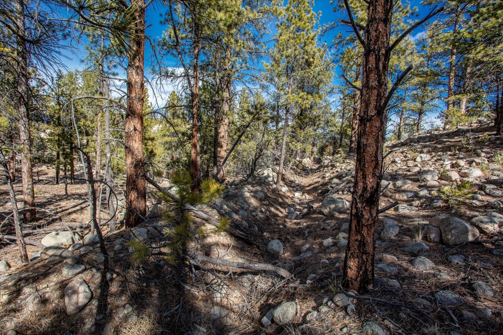 21160 Skyline Drive Nathrop CO 81236