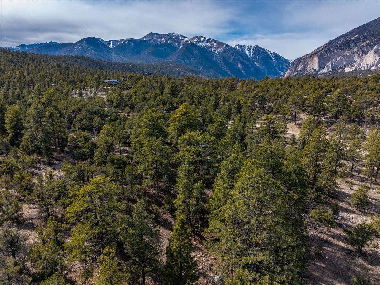 21160 Skyline Drive Nathrop CO 81236