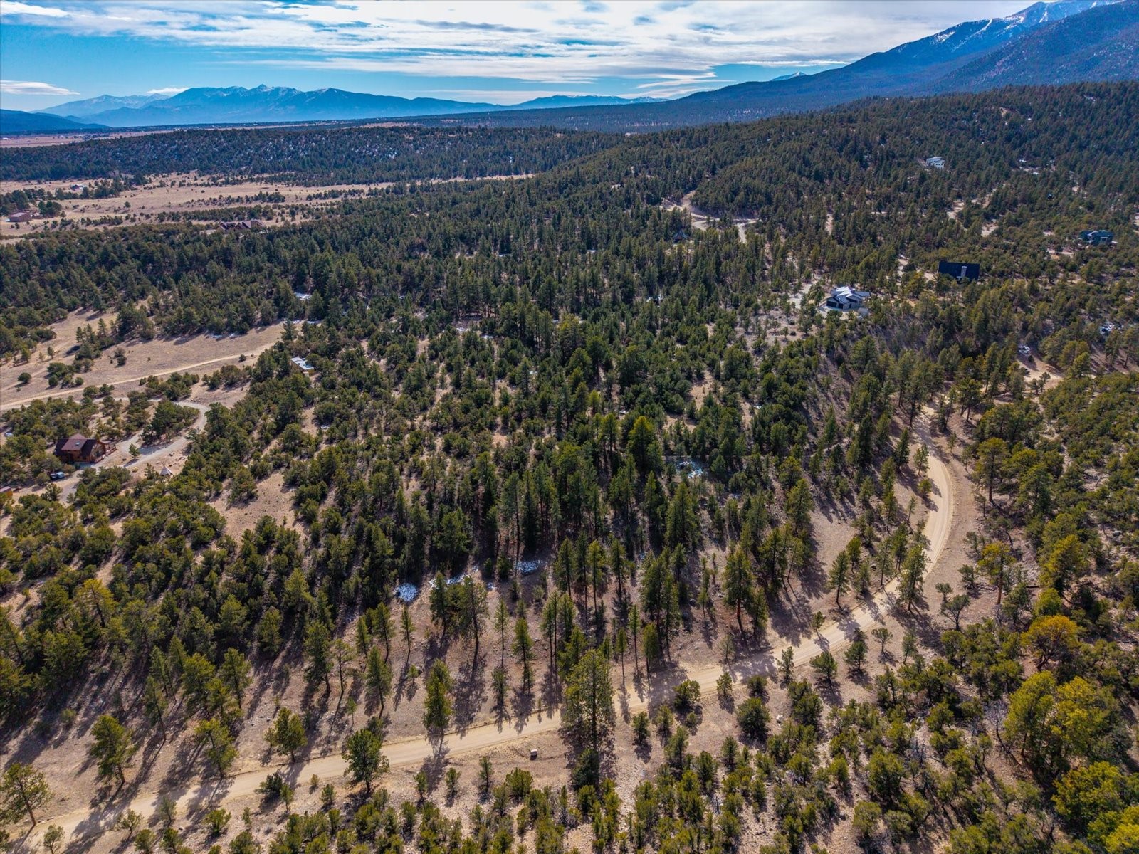 21160 Skyline Drive Nathrop CO 81236