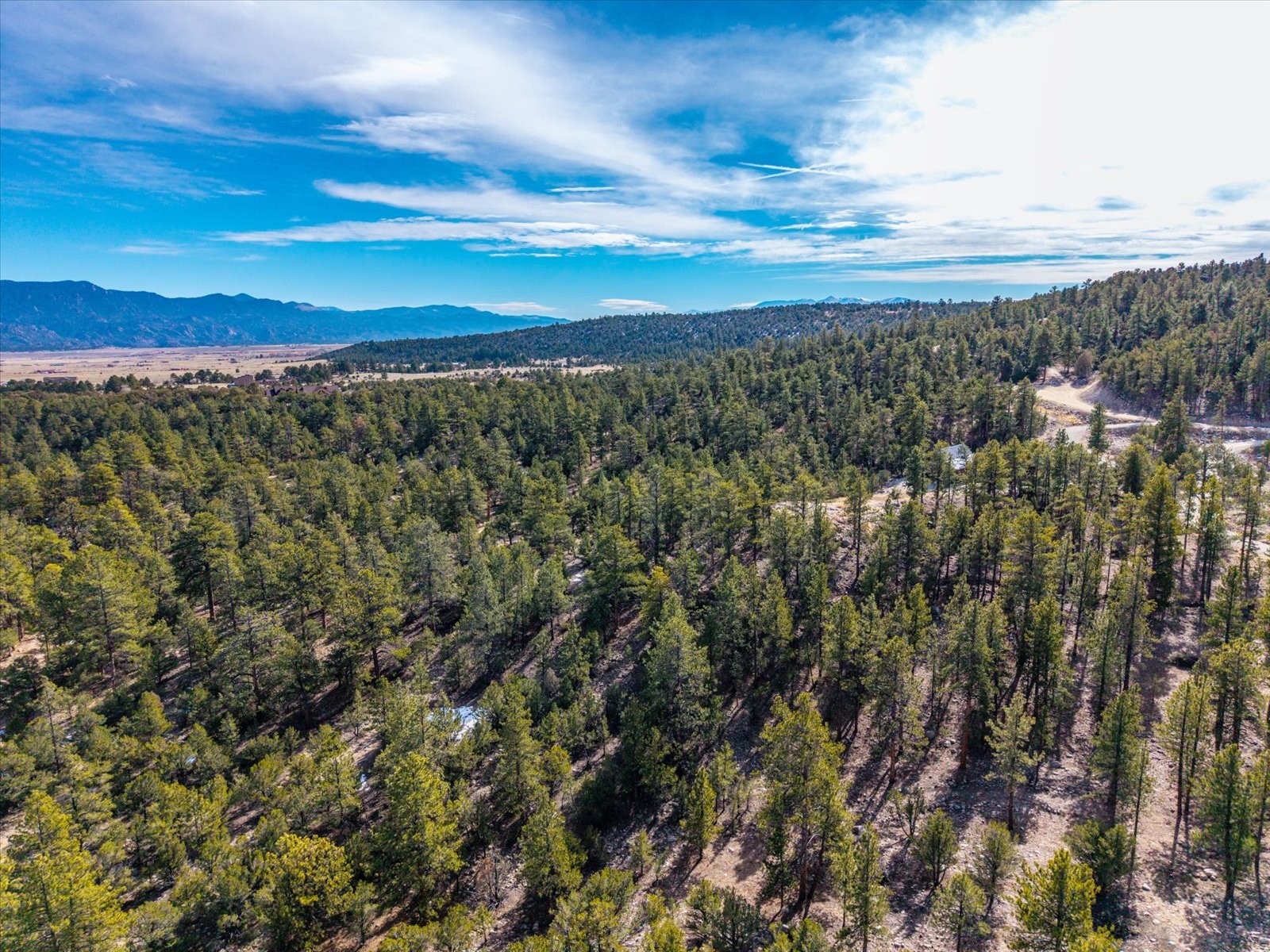 21160 Skyline Drive Nathrop CO 81236