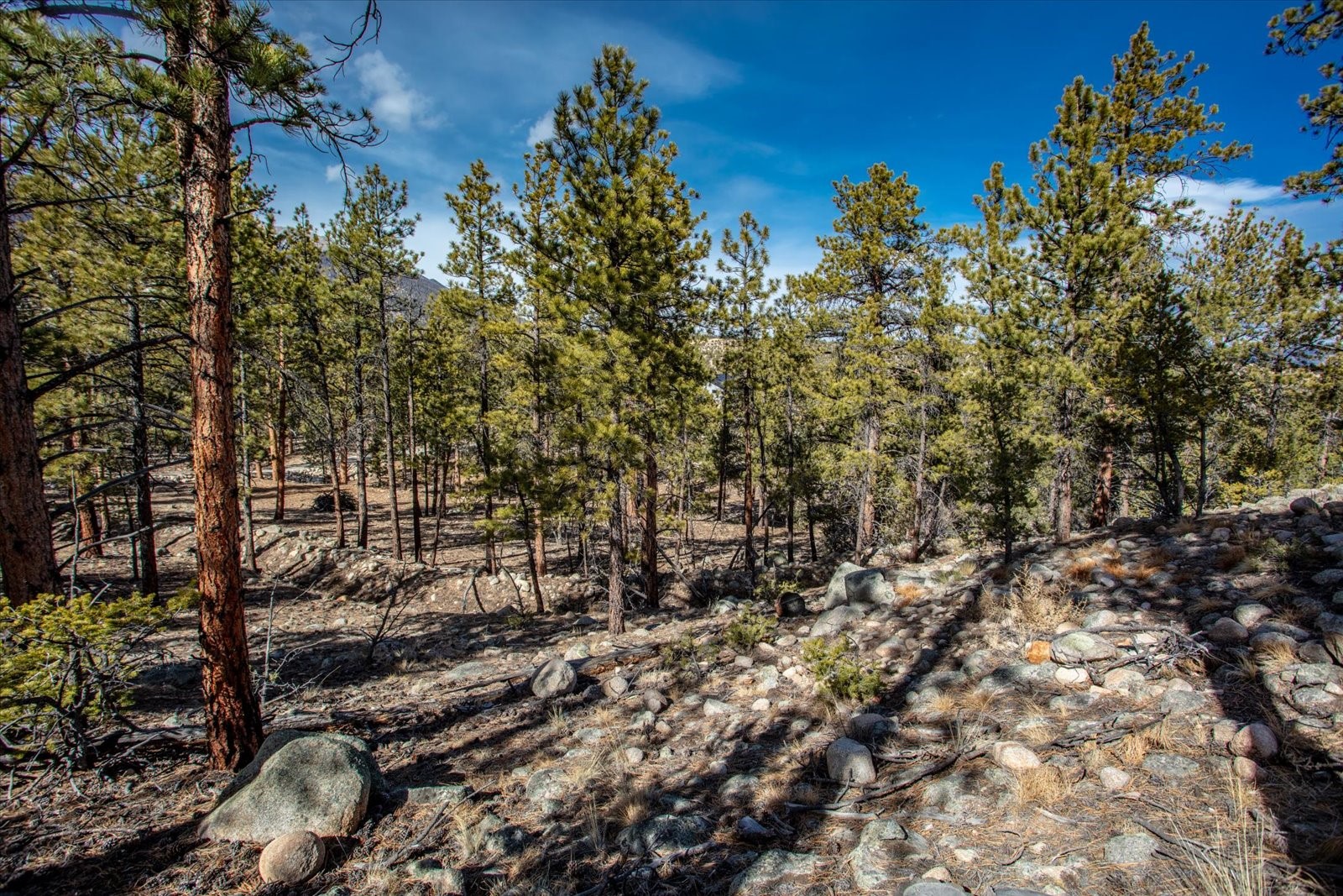 21160 Skyline Drive Nathrop CO 81236