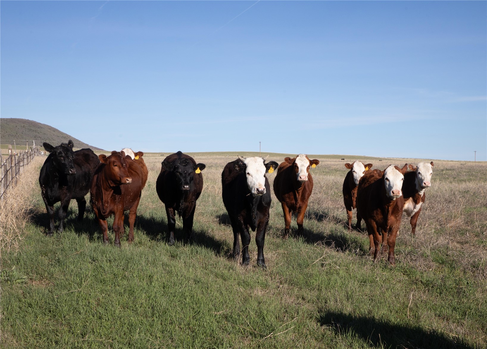 Tbd State Highway 394 Craig CO 81625